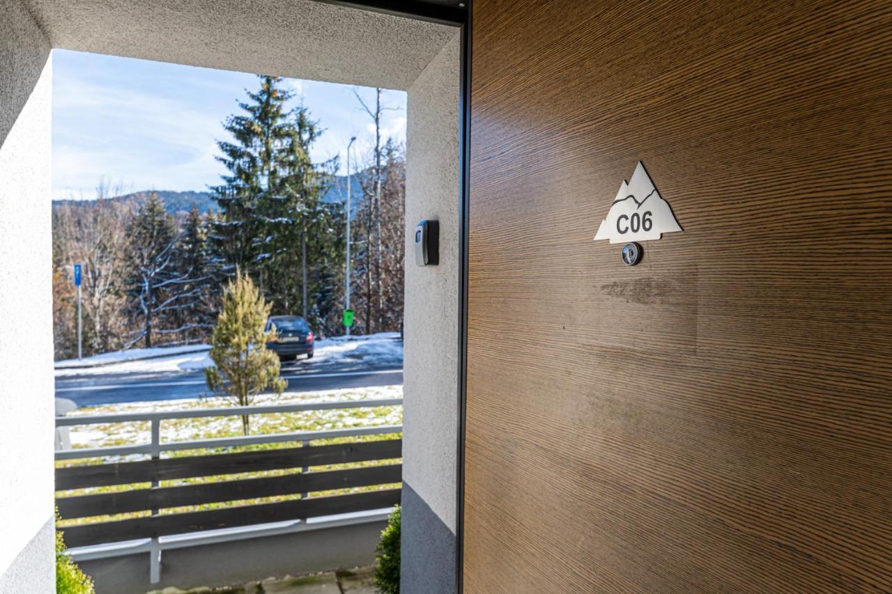 Aki Studio Silver Mountain Пояна-Брашов Экстерьер фото