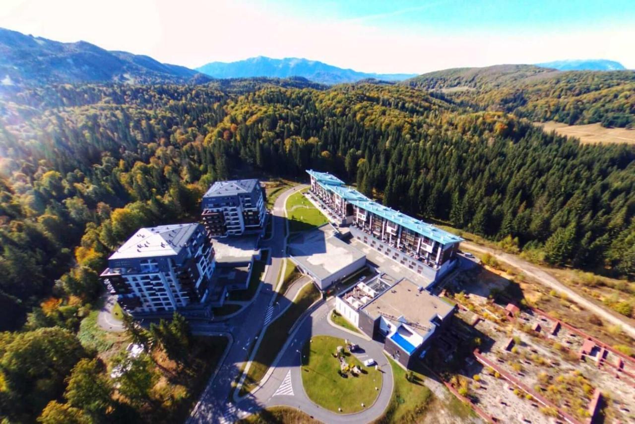 Aki Studio Silver Mountain Пояна-Брашов Экстерьер фото